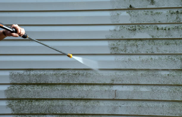 Best Exterior Home Cleaning  in Scott, LA
