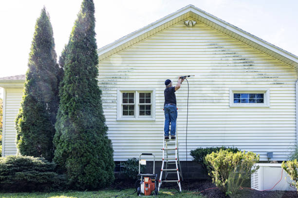 Best Deck Cleaning Services  in Scott, LA