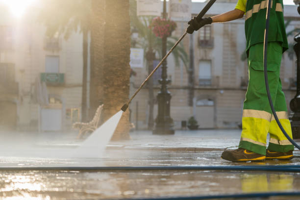 Best Roof Pressure Washing  in Scott, LA
